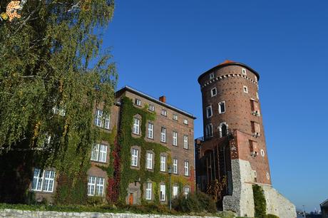 Cracovia y las minas de sal de Wieliczka