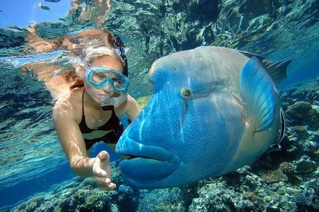 Wally-Kelly ▷ Comente 11 cosas increíbles para hacer en Cairns, Australia (Reef & Beyond) por 10 destinos de la lista de destinos de la familia para el verano | La maleta abierta