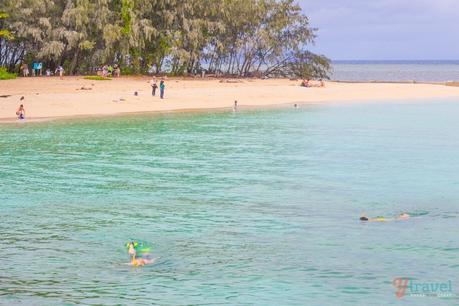 IMG_1726 ▷ Comente 11 cosas increíbles para hacer en Cairns, Australia (Reef & Beyond) por 10 destinos de la lista de destinos de la familia para el verano | La maleta abierta