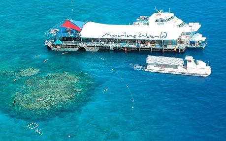 marine-world-profile ▷ Comente 11 cosas increíbles para hacer en Cairns, Australia (Reef & Beyond) por 10 destinos de la lista de destinos de la familia para el verano | La maleta abierta