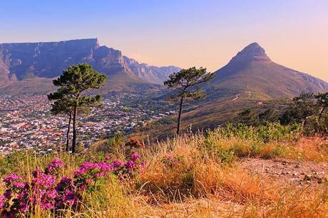 ▷ 17 lugares increíbles para visitar en Sudáfrica (¡el mejor!) Cape-Town-South-Africa.jpg.optimal ▷ 17 lugares increíbles para visitar en Sudáfrica (¡el mejor!)