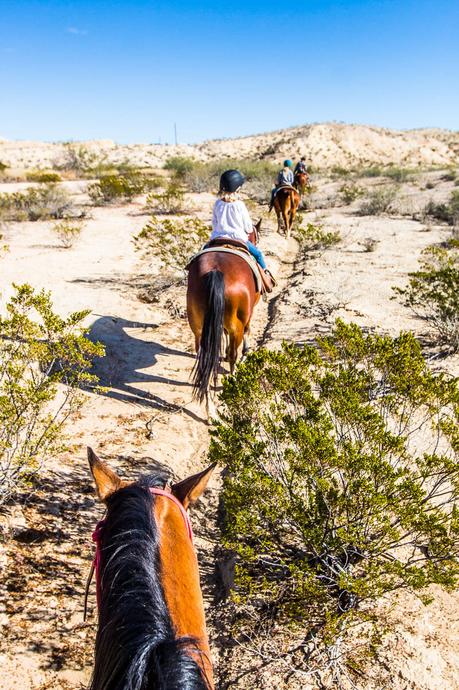 lajitas-texas-horse-ride-5-1 ▷ Comenta en My Fun Horse Ride in Lajitas, Texas por Michelle