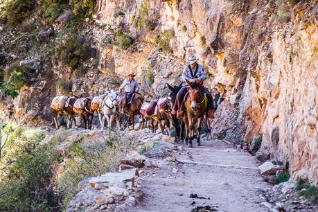 ▷ Comente los mejores consejos para planear un viaje al Gran Cañón con niños con la guía ULTIMATE Qué hacer en Tempe con niños the-grand-canyon-vacation-36 ▷ Comente los mejores consejos para planear un viaje al Gran Cañón con niños con la guía ULTIMATE Qué hacer en Tempe con niños