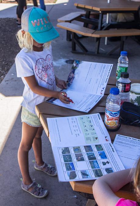 ▷ Comente los mejores consejos para planear un viaje al Gran Cañón con niños con la guía ULTIMATE Qué hacer en Tempe con niños grand-canyon-vacation-24 ▷ Comente los mejores consejos para planear un viaje al Gran Cañón con niños con la guía ULTIMATE Qué hacer en Tempe con niños