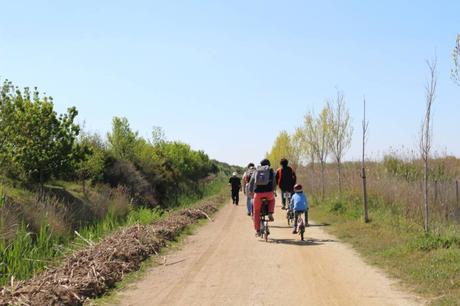 Regala experiencias para el día del padre