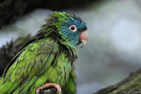 Después de la tormenta