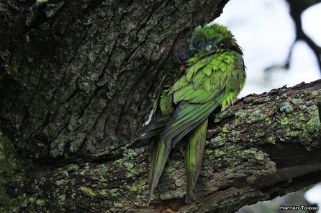 Después de la tormenta