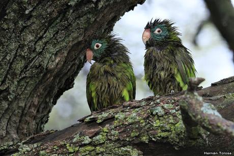 Después de la tormenta