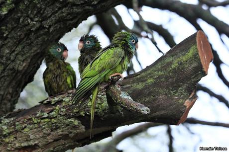 Después de la tormenta