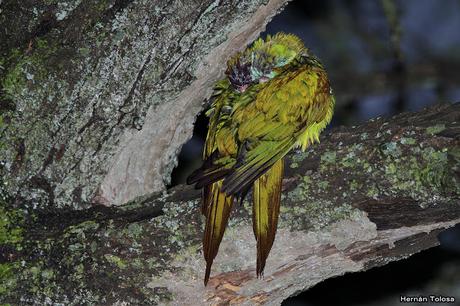 Después de la tormenta