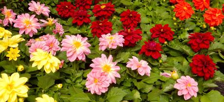 Tres días… Tres días…