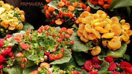 Tres días… Tres días…