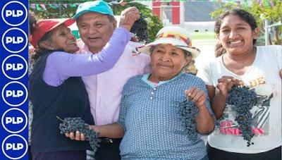 VI FESTIVAL DE LA VENDIMIA EN PACARÁN… VI FESTIVAL DE LA VENDIMIA EN PACARÁN…