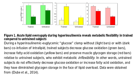 Figura 3 Flexibilidad metabolica