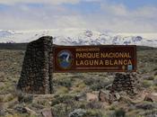 Parque Nacional Laguna Blanca (octubre 2018)