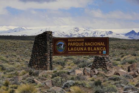 Parque Nacional Laguna Blanca (octubre de  2018)