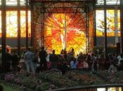 Llega espectáculo “sol sol” cosmovitral jardín botánico