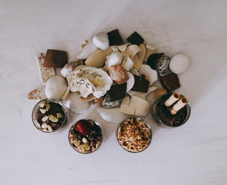 MOUSSE DE CHOCOLATE VEGANO