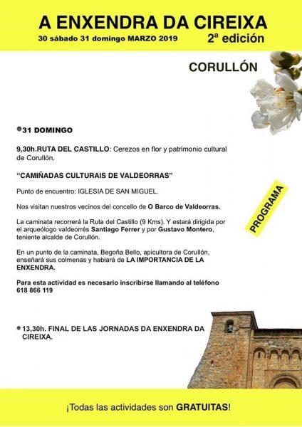 Corullón celebra la “2ª Enxendra da cireixa” con una ruta para disfrutar de la floración de los cerezos y actividades paralelas