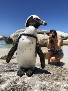 IMG_0438-e1549818319545-225x300 ▷ Mochila Sudáfrica - Cuánto presupuesto