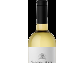 Santa Vino Blanco Torrontes