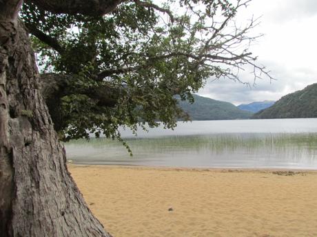 Sendero de los siete lagos. Neuquén. Argentina