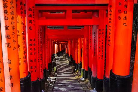 Red-Gates-in-Kyoto-at-night.jpg.optimal ▷ ¿Cómo es viajar en Japón?