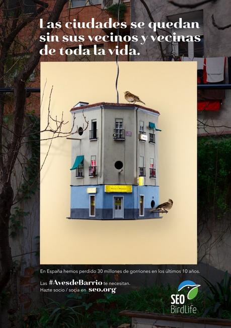 Esta campaña alerta sobre la desaparición de los gorriones de nuestras ciudades