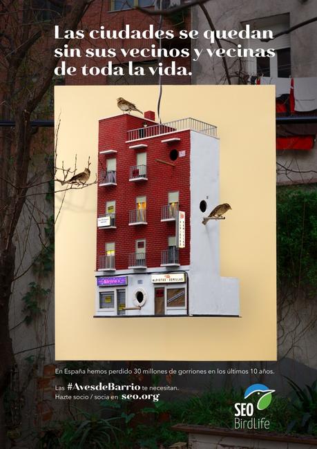 Esta campaña alerta sobre la desaparición de los gorriones de nuestras ciudades