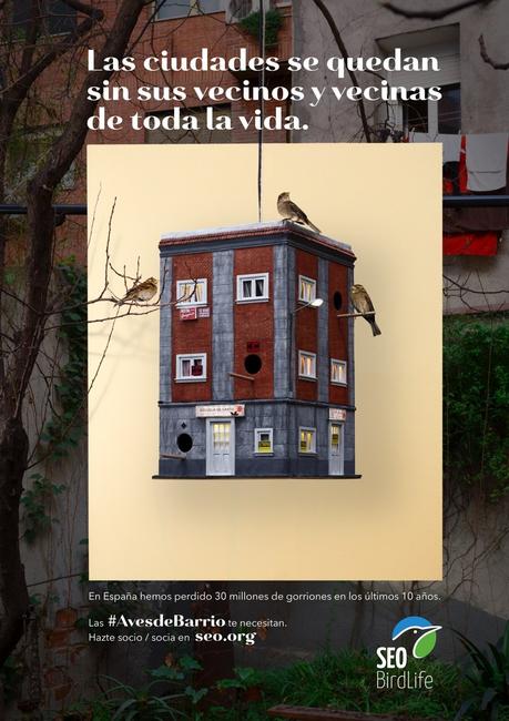 Esta campaña alerta sobre la desaparición de los gorriones de nuestras ciudades