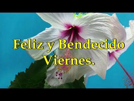 Feliz y Bendecido Viernes