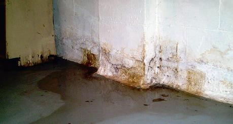 tipos-de-humedades-filtracion