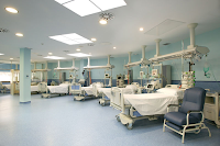 Nuevo Modelo para la Atención de los Pacientes en la UCI