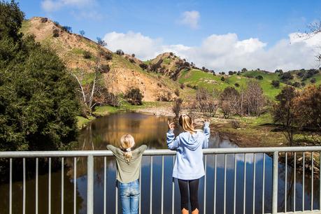 IMG_0953 ▷ Semana 13: Selfies, Arte y Belleza Natural de Los Ángeles.