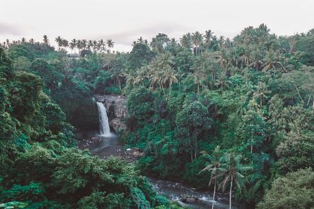 ▷ 10 consejos para tu primer viaje a Bali DSCF9904-2 ▷ 10 consejos para tu primer viaje a Bali