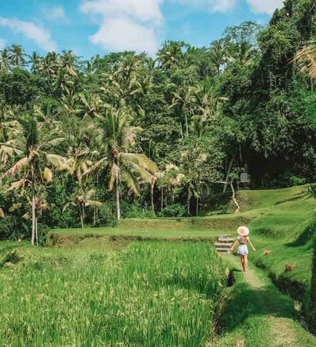 ▷ 10 consejos para tu primer viaje a Bali bali-2 ▷ 10 consejos para tu primer viaje a Bali