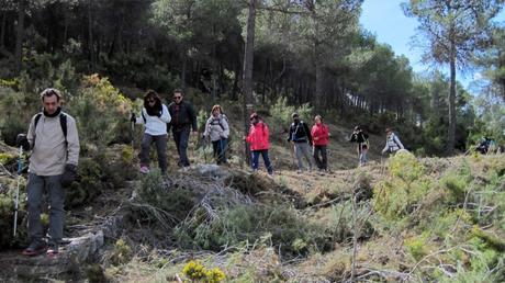 Día Internacional de los Bosques 2019