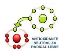 dieta antioxidante