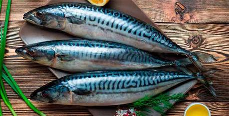 Dieta de la mente, una dieta cada vez más necesaria Dieta de la mente, una dieta cada vez más necesaria