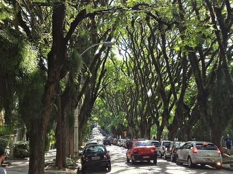 Cuántos más árboles nos rodean, menores son nuestros niveles de estrés Cuántos más árboles nos rodean, menores son nuestros niveles de estrés