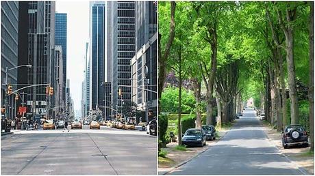 Cuántos más árboles nos rodean, menores son nuestros niveles de estrés Cuántos más árboles nos rodean, menores son nuestros niveles de estrés