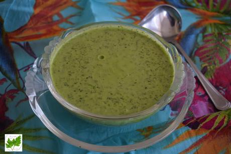 Mojo de Perejil Mojo de Perejil