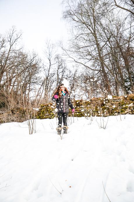 Mushing en los Pirineos: una experiencia maravillosa Mushing en los Pirineos: una experiencia maravillosa