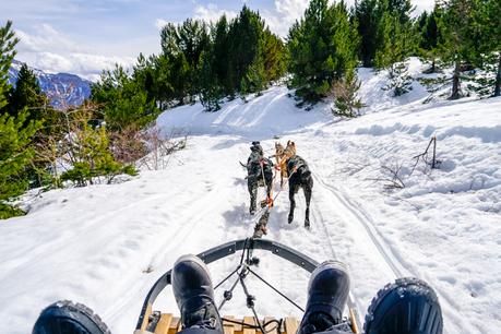 Mushing en los Pirineos: una experiencia maravillosa Mushing en los Pirineos: una experiencia maravillosa
