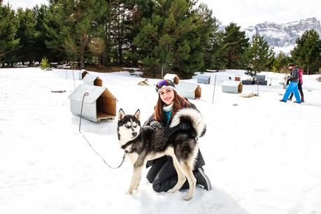 Mushing en los Pirineos: una experiencia maravillosa Mushing en los Pirineos: una experiencia maravillosa