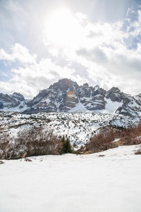 Mushing en los Pirineos: una experiencia maravillosa