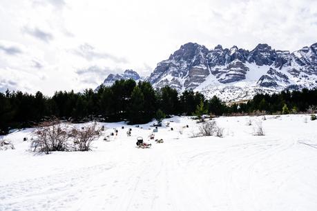 Mushing en los Pirineos: una experiencia maravillosa