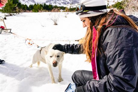 Mushing en los Pirineos: una experiencia maravillosa Mushing en los Pirineos: una experiencia maravillosa
