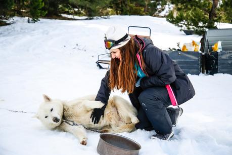 Mushing en los Pirineos: una experiencia maravillosa Mushing en los Pirineos: una experiencia maravillosa
