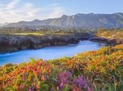 postales para celebrar primavera Asturias